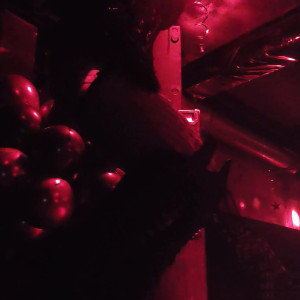 Video by suspiragrey published on May 5,2023 22:50:00 - BestThots