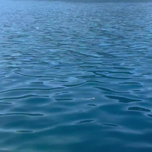 Video by brynnwoods published on August 27,2023 09:16:00 - BestThots