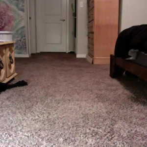 Video by freckled_feet published on June 26,2023 07:54:00 - BestThots