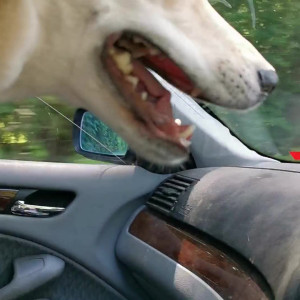 Video by graciegreyyxo published on August 10,2023 21:28:00 - BestThots