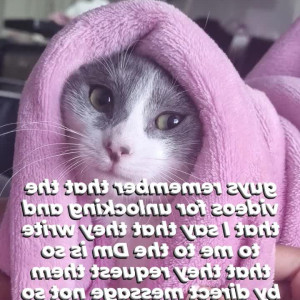 Video by kkole17 published on July 10,2023 01:23:00 - BestThots