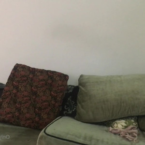 Video by quinnfinite published on April 10,2023 13:28:00 - BestThots