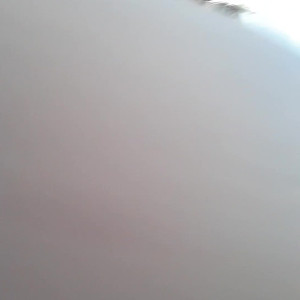 vipaylen #5330527