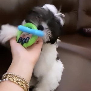 Video by madamerosalie published on April 15,2023 11:53:00 - BestThots