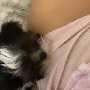 Video by madamerosalie published on May 9,2023 07:06:00 - BestThots