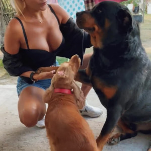 Video by venera_maxima published on August 6,2023 02:45:00 - BestThots