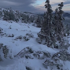 Video by venera_maxima published on March 3,2023 18:12:00 - BestThots