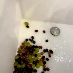 Video by lexypanterra published on March 14,2023 21:27:00 - BestThots