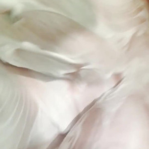 Video by indiaultra published on April 17,2023 03:11:00 - BestThots