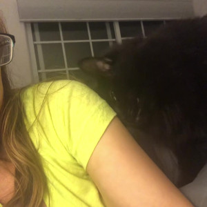 Video by jackiehoff published on March 31,2023 13:16:00 - BestThots