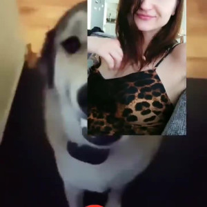 Video by magnea published on August 19,2023 05:38:52 - BestThots
