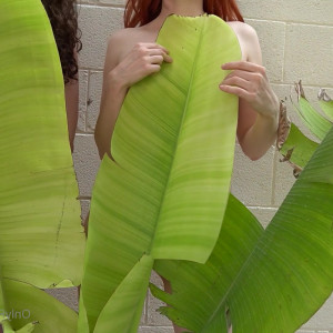 Video by thenikitafoxx published on May 16,2023 15:44:00 - BestThots