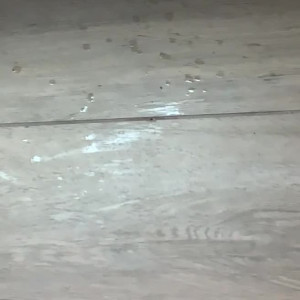 Video by tequilalovelace published on July 9,2023 13:17:00 - BestThots