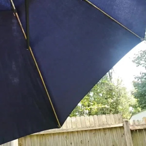 Video by bee88i published on August 19,2023 04:36:27 - BestThots