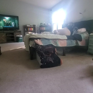Video by bee88i published on August 19,2023 03:58:15 - BestThots