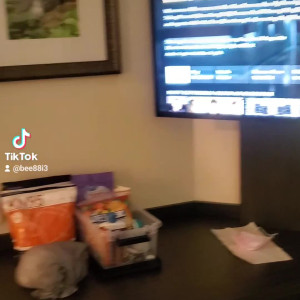 Video by bee88i published on August 19,2023 03:58:57 - BestThots
