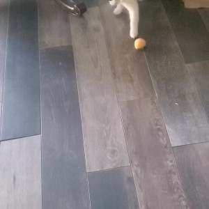 Video by bee88i published on August 19,2023 03:45:08 - BestThots