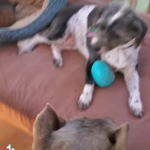 Video by bee88i published on March 18,2023 22:49:00 - BestThots