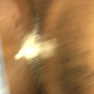 Video by joegrine published on June 29,2023 02:30:00 - BestThots