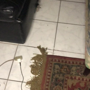 Video by joegrine published on July 21,2023 03:40:00 - BestThots