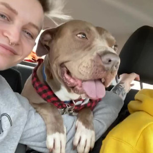 Video by samanthaknoxxoxo published on March 25,2023 12:23:00 - BestThots