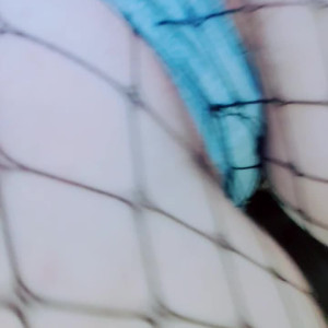 Video by freemikomihokina published on July 3,2023 12:41:00 - BestThots