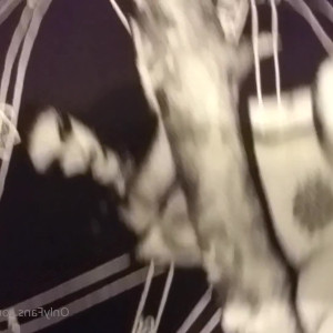 Video by ghostoflillith published on March 3,2023 02:23:00 - BestThots