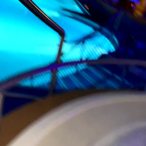 Video by laroseee published on March 19,2023 22:04:00 - BestThots