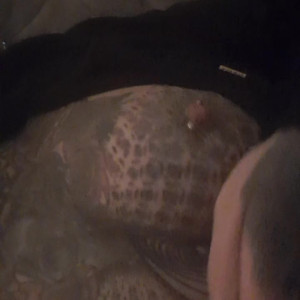 ladylauren2021111 #5323128