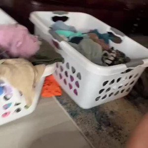 Video by reallillyhallxx published on August 19,2023 06:10:06 - BestThots