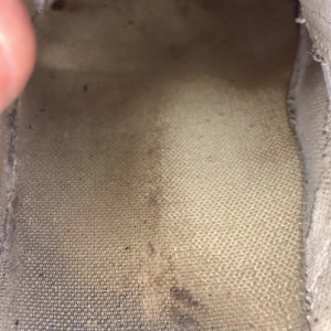 Video by servingfet published on July 16,2023 21:14:00 - BestThots