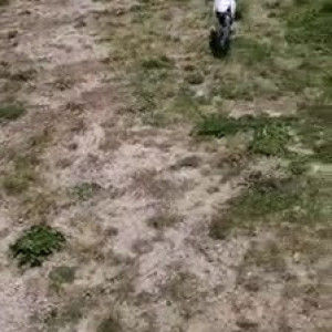 Video by u105166152 published on June 16,2023 08:37:00 - BestThots