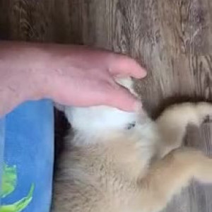 Video by u105166152 published on March 5,2023 15:34:00 - BestThots