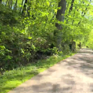 Video by u105166152 published on April 22,2023 21:44:00 - BestThots