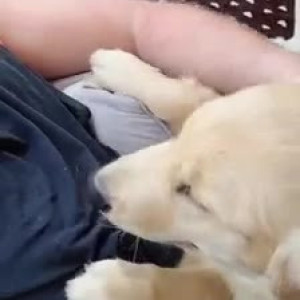 Video by u105166152 published on July 2,2023 17:32:00 - BestThots