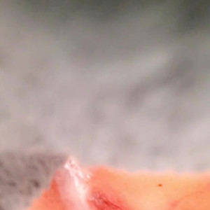 Video by taylerbreanne71 published on May 15,2023 08:47:00 - BestThots