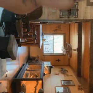 Video by taylerbreanne71 published on May 12,2023 12:00:00 - BestThots