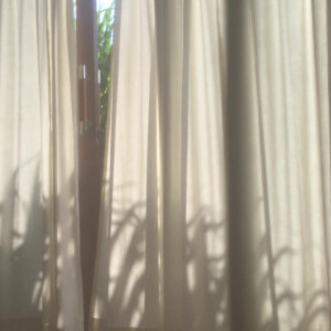 Video by sheis_bond published on April 30,2023 13:27:00 - BestThots