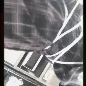 duchessdreamy #4680099