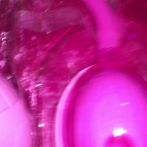 Video by blondie_oficial published on May 31,2023 22:41:00 - BestThots