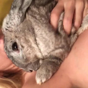 Video by blondie_oficial published on July 16,2023 03:36:00 - BestThots