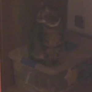 Video by blondie_oficial published on June 8,2023 23:28:00 - BestThots