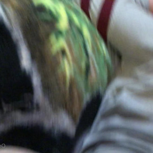 Video by softxpupp published on June 25,2023 21:45:00 - BestThots