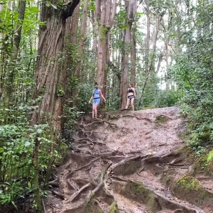 Video by silviasaigexxx published on August 19,2023 08:09:54 - BestThots