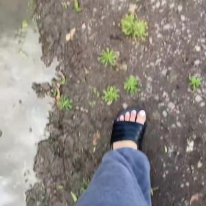 Video by lachleamber published on March 28,2023 20:38:00 - BestThots