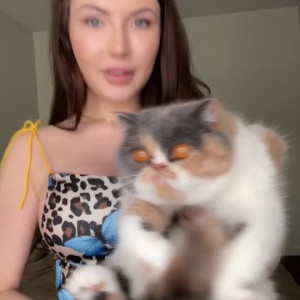 Video by aussiesunlocked published on November 23,2023 06:46:12 - BestThots