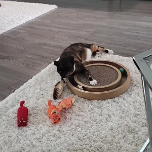 Video by lananextdoor published on April 22,2023 12:40:00 - BestThots