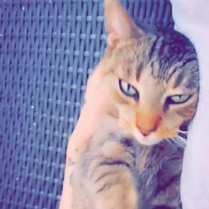 Video by lananextdoor published on June 24,2023 16:19:00 - BestThots