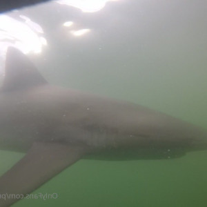 Video by done published on August 15,2023 18:14:00 - BestThots