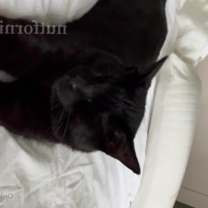 Video by nutfornikita published on May 27,2023 02:52:00 - BestThots